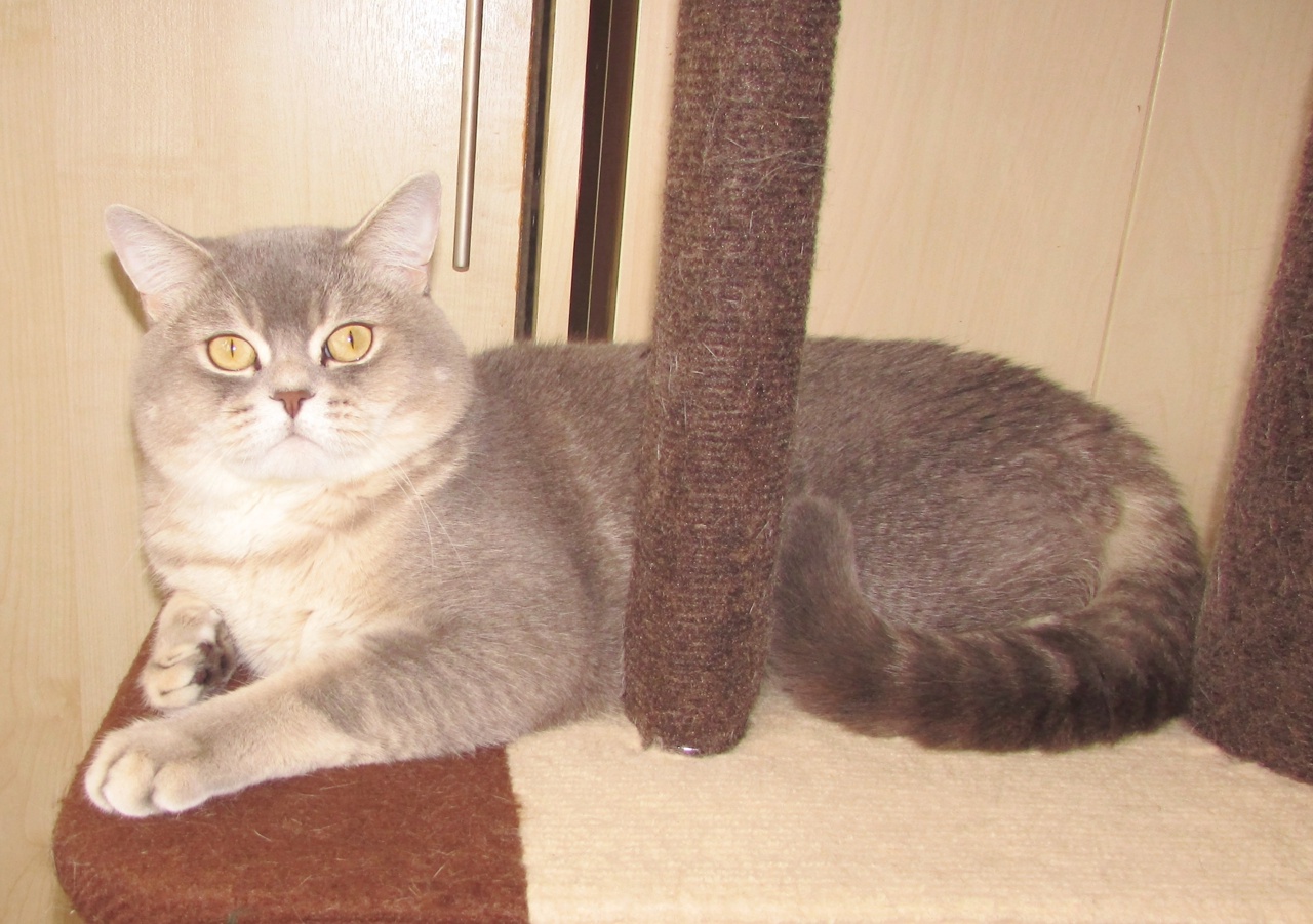 gxh5IkvB1ehiOJngduQ2YRWSGe1-yIRCaQRMcnitRkoGNz8Q5yL1iNh8bJDOr7XRq-l1JUYfaYPwUV7gLVvQiXL7