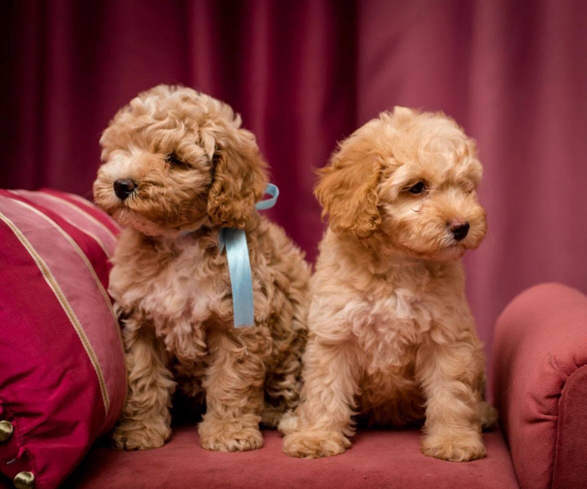 photo_2021-08-21_13-05-43