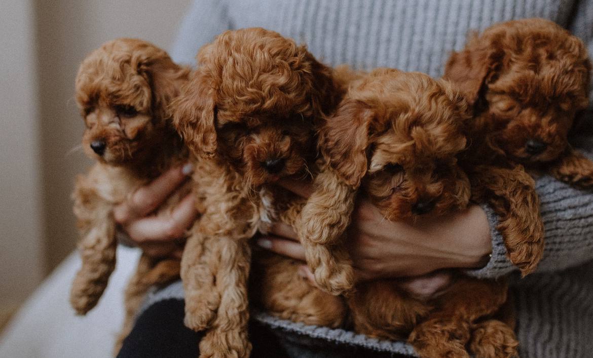 photo_2024-05-10_15-19-11