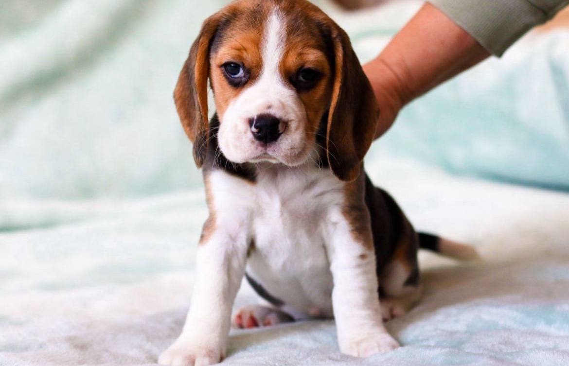 photo_2025-06-15_09-54-44