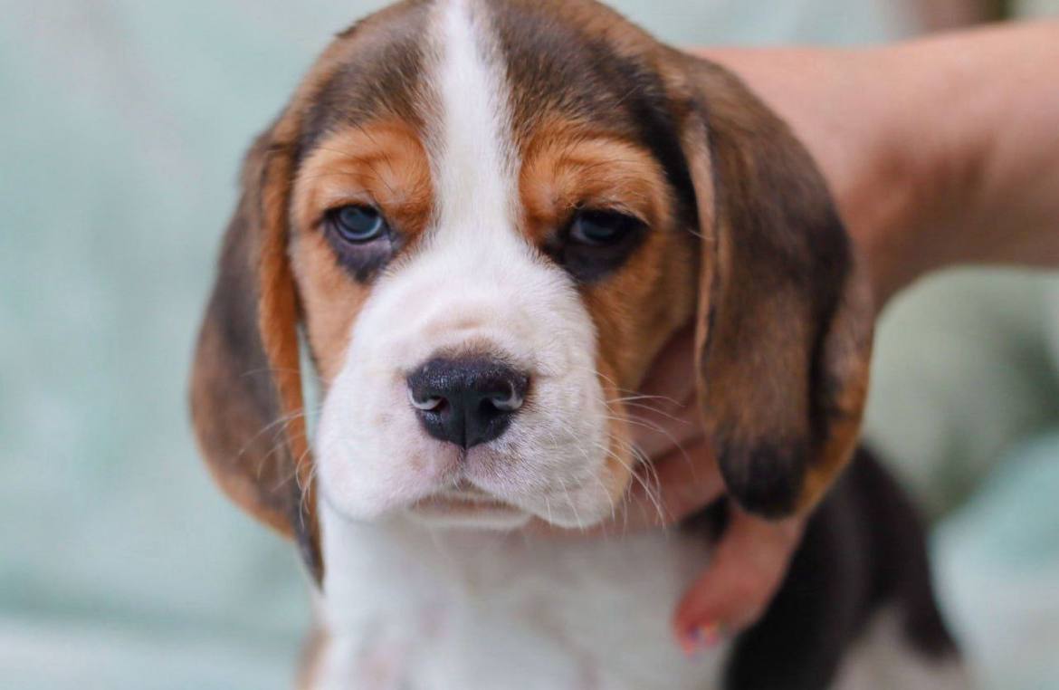 photo_2025-06-15_09-54-45