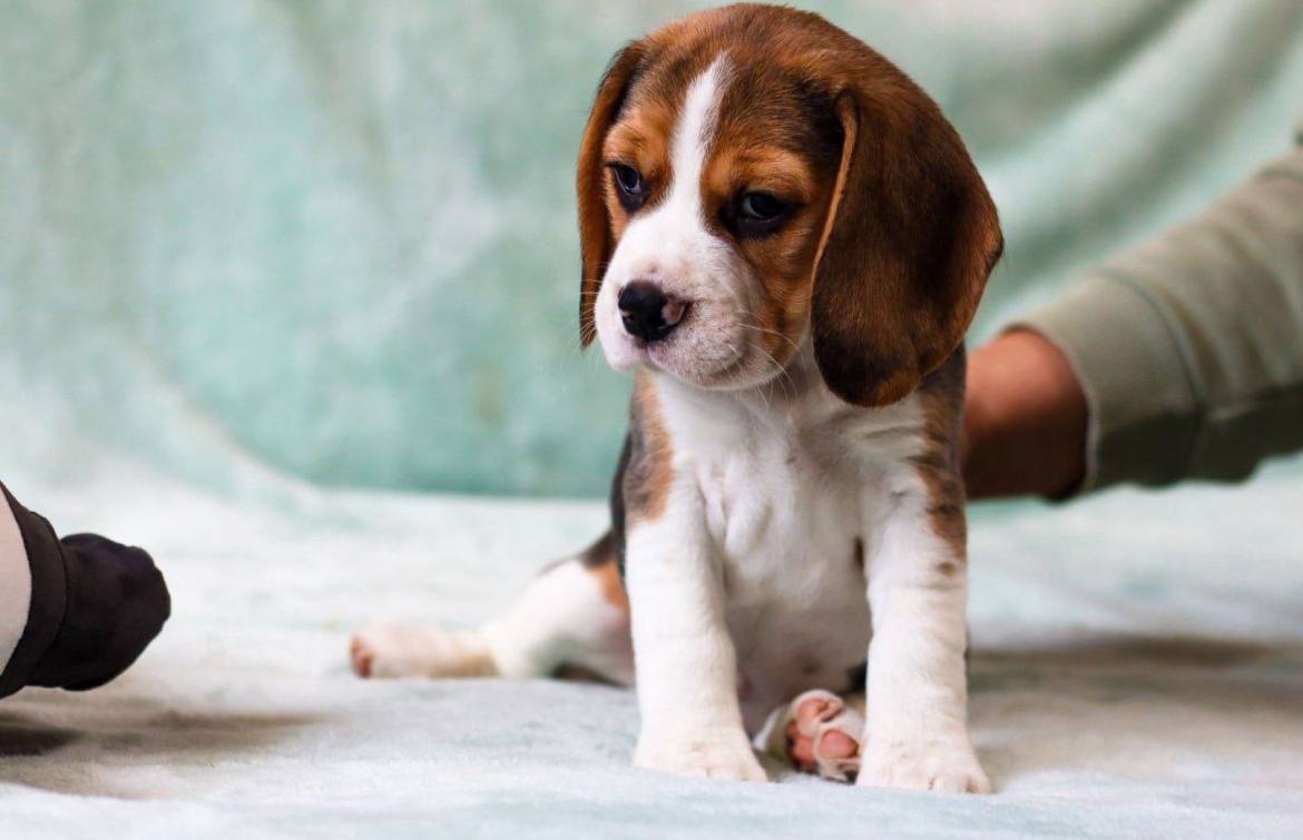 photo_2025-06-15_09-54-46-2