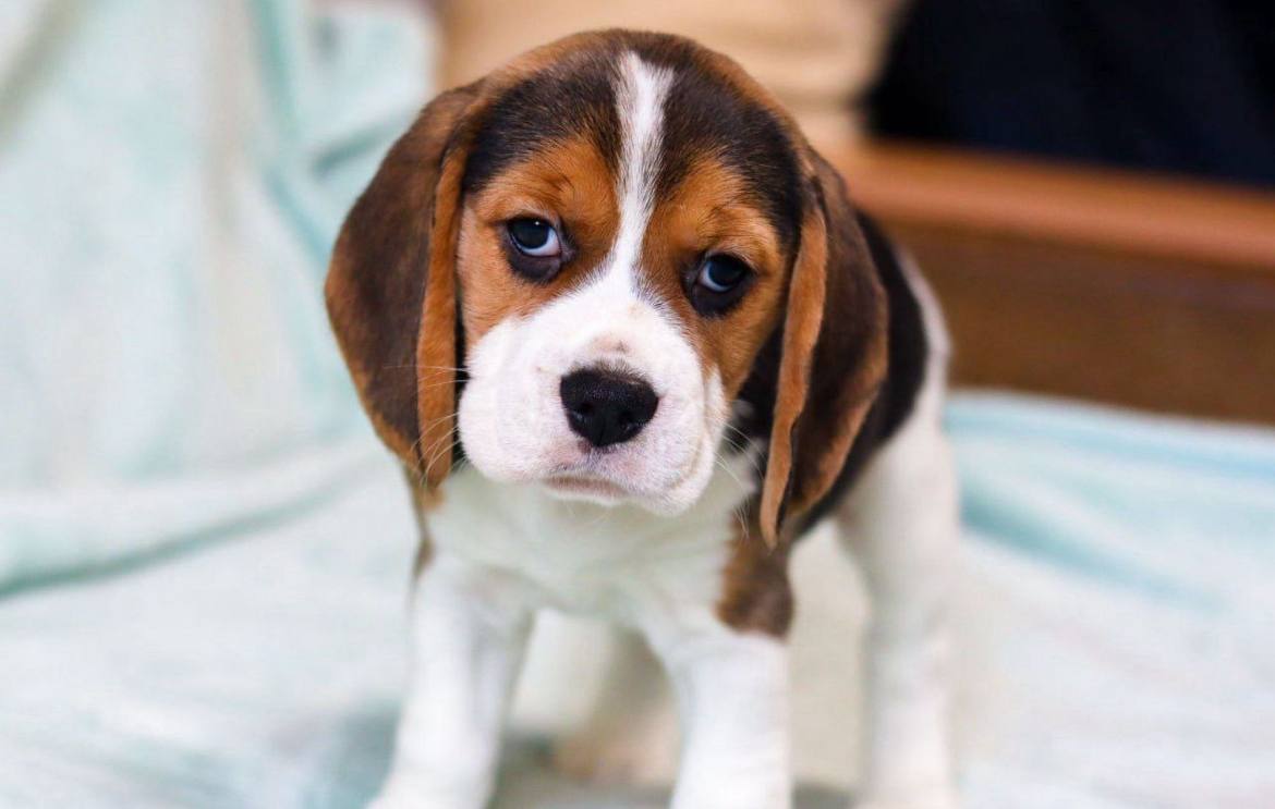 photo_2025-06-15_09-54-46