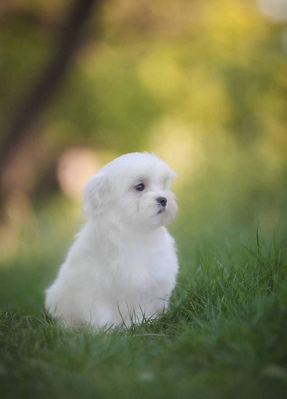 photo_2025-06-15_09-56-35