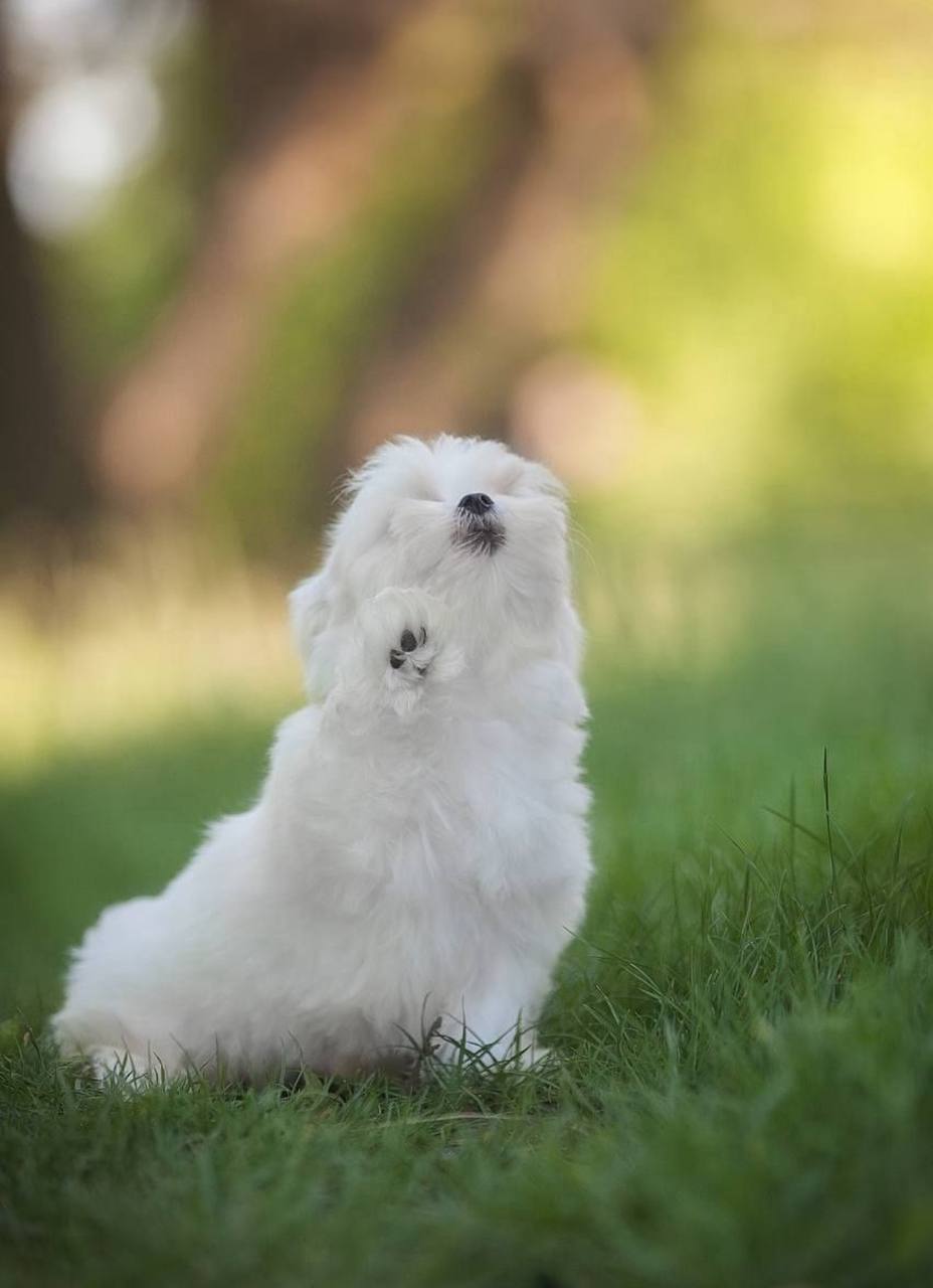 photo_2025-06-15_09-56-36