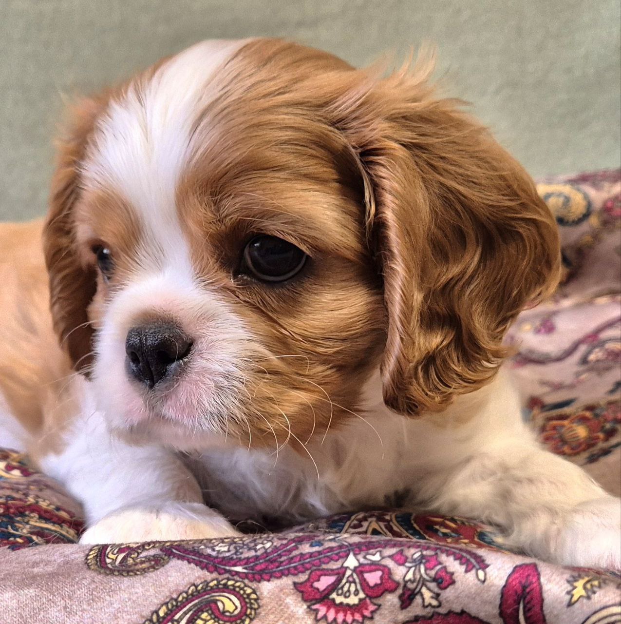 photo_5339224062595037036_y