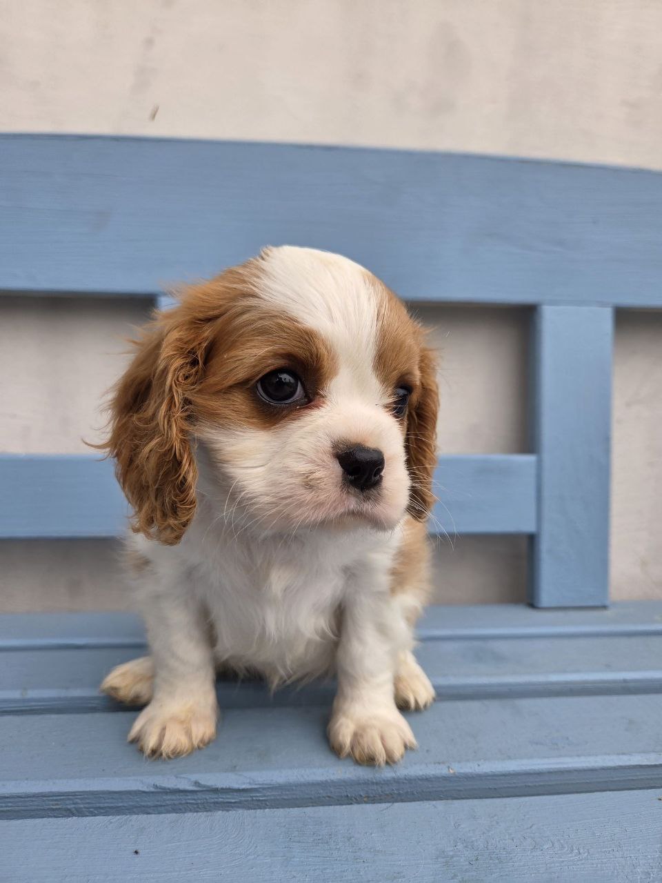 photo_5359683495791819054_y