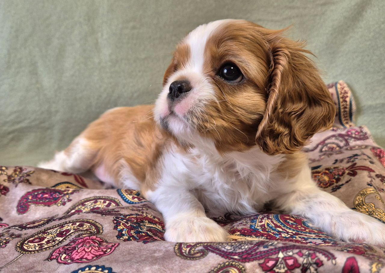 photo_5361935295605505029_y