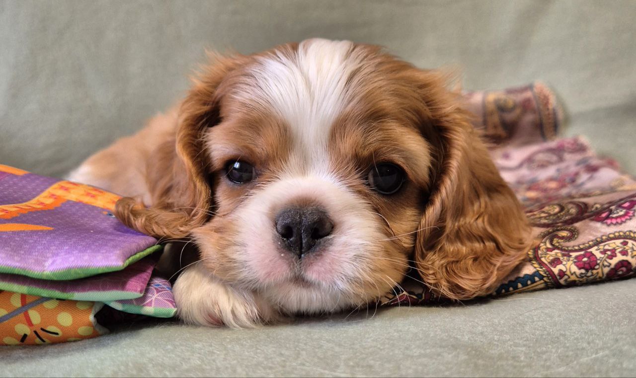 photo_5361935295605505030_y