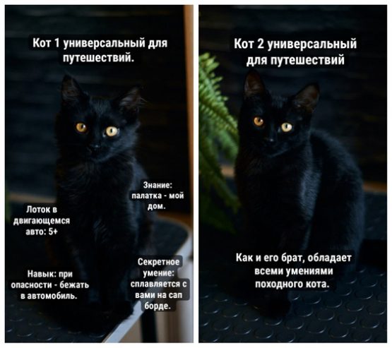 1-Коллаж-1