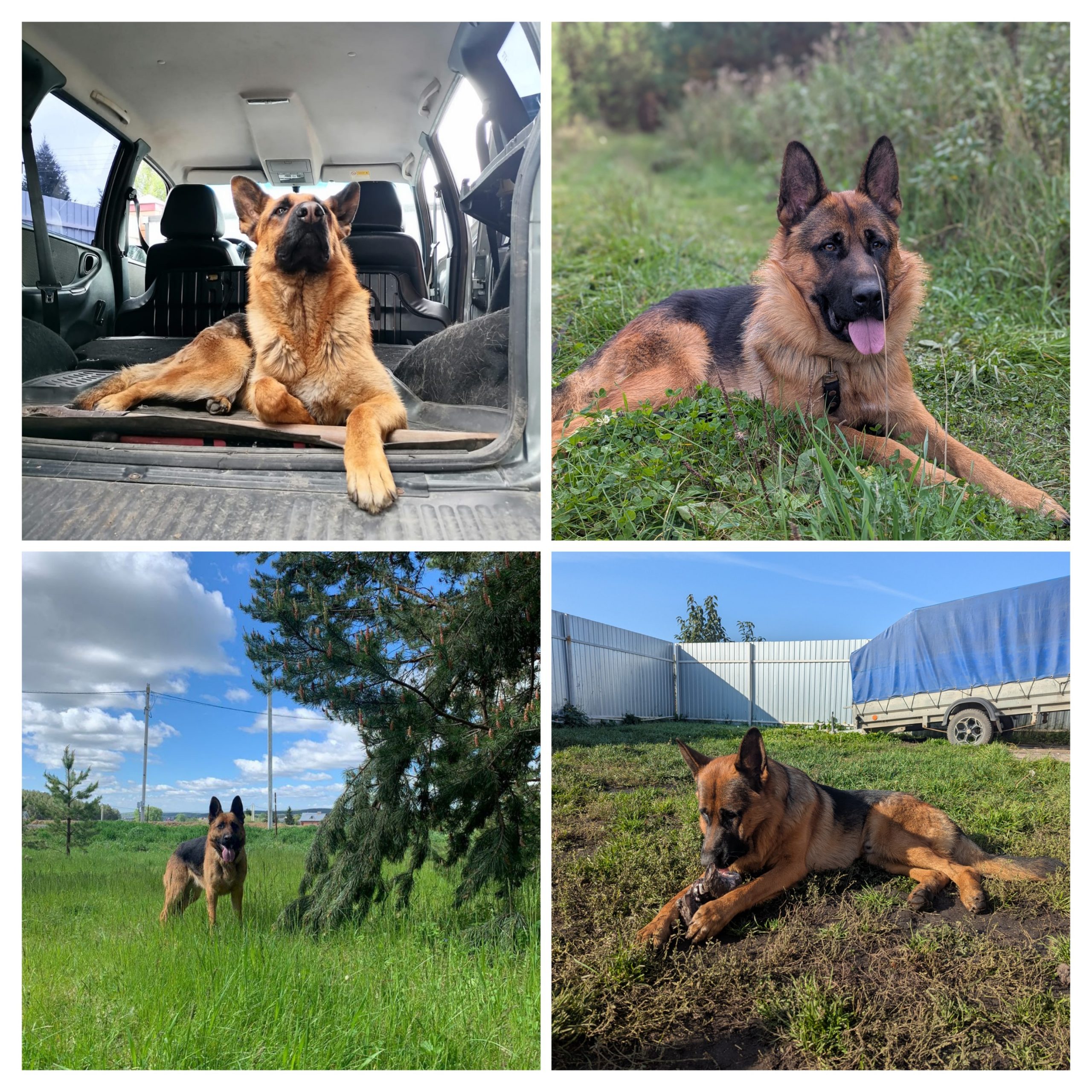 20250922_164038-COLLAGE