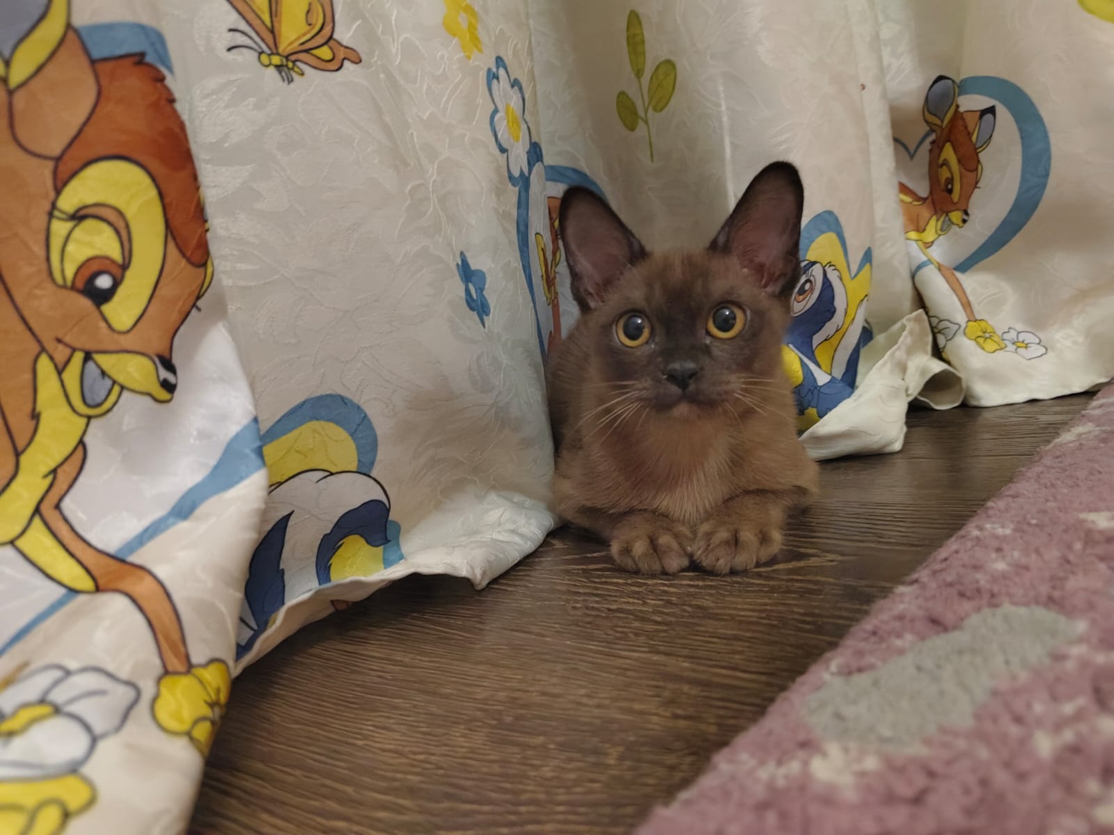 6a89c13c-6a75-4f6e-b265-3c111eda0045