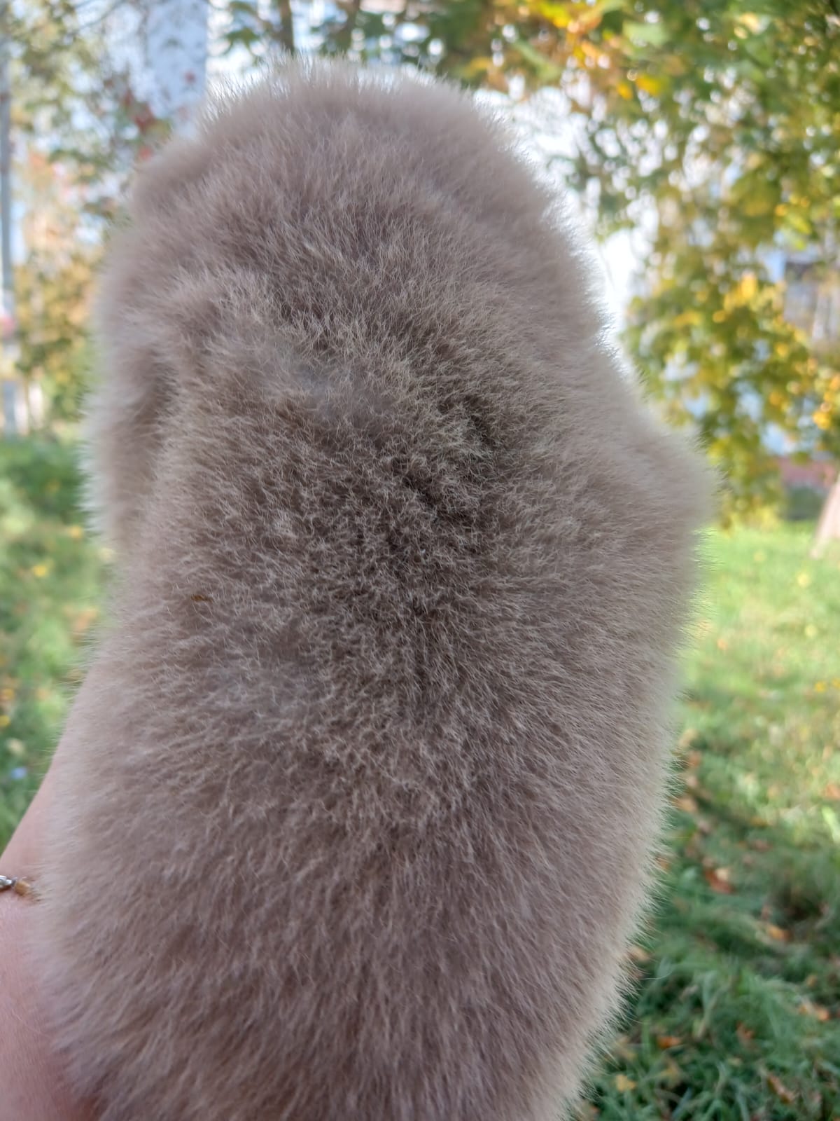 IMG-20250923-WA0007-1