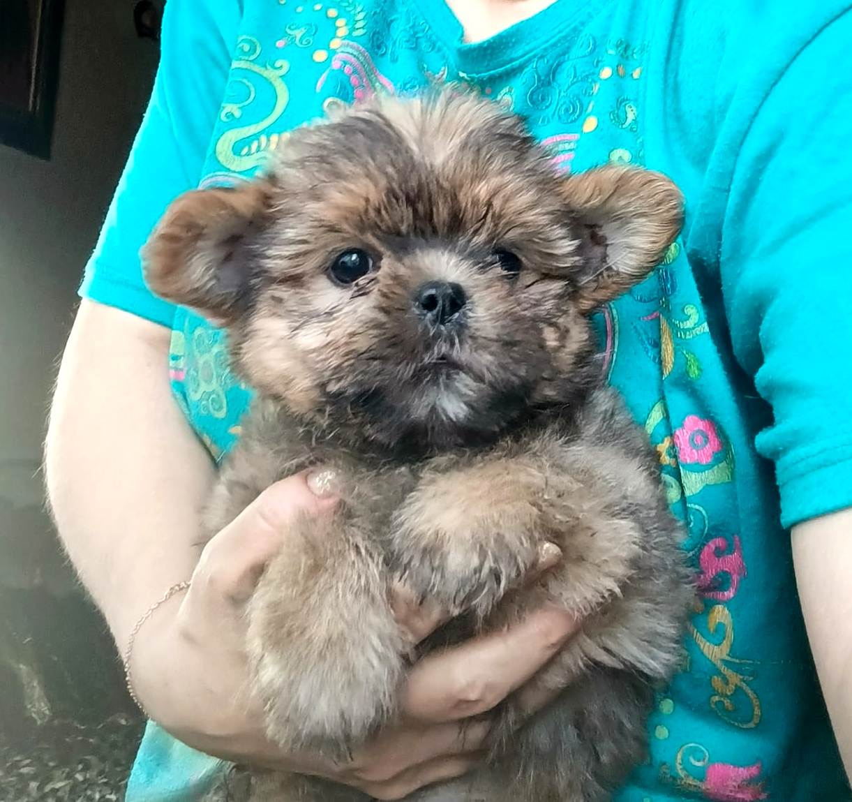 IMG-20251008-WA0035-1