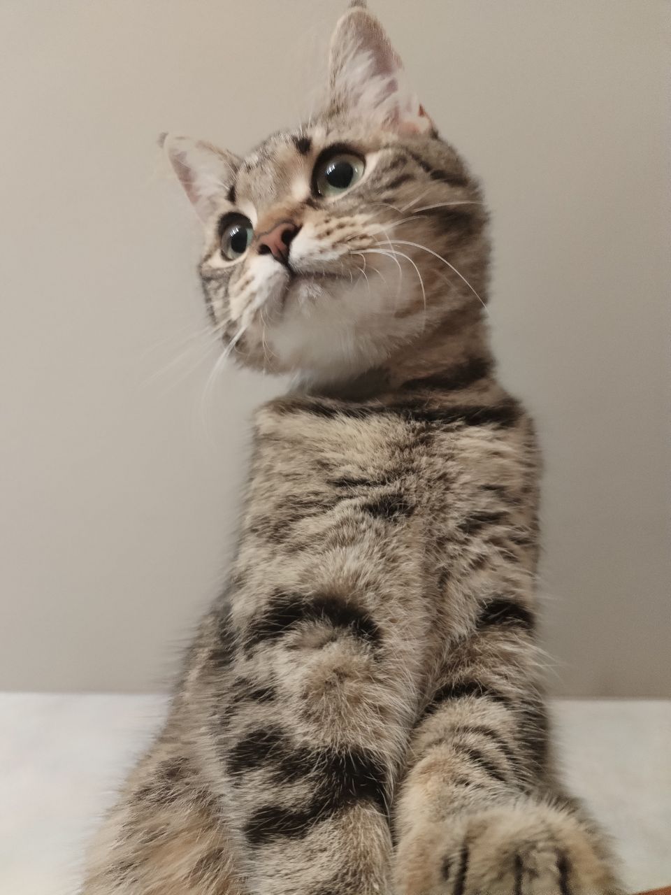 IMG_20251008_175029_748