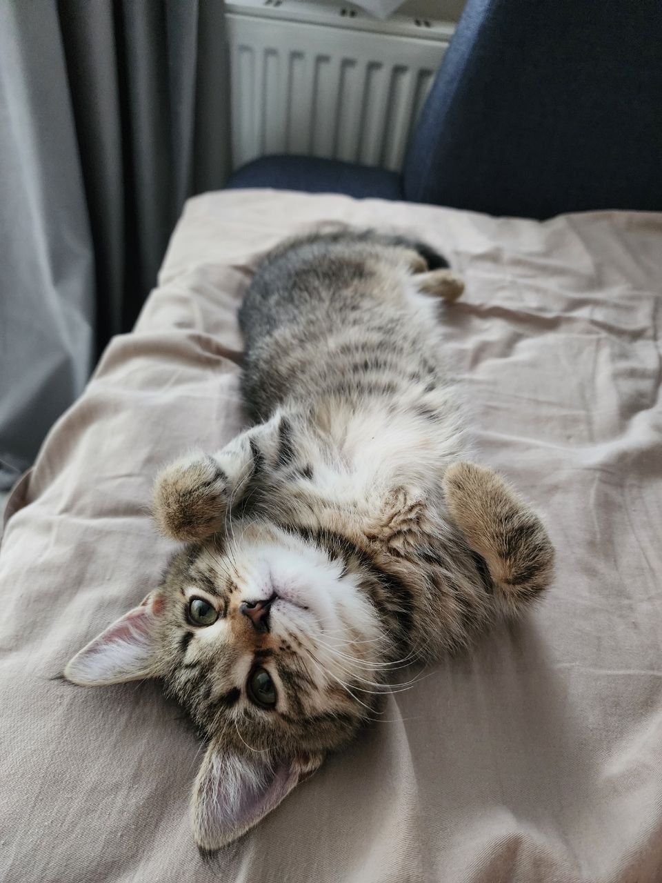 IMG_20251008_175031_197