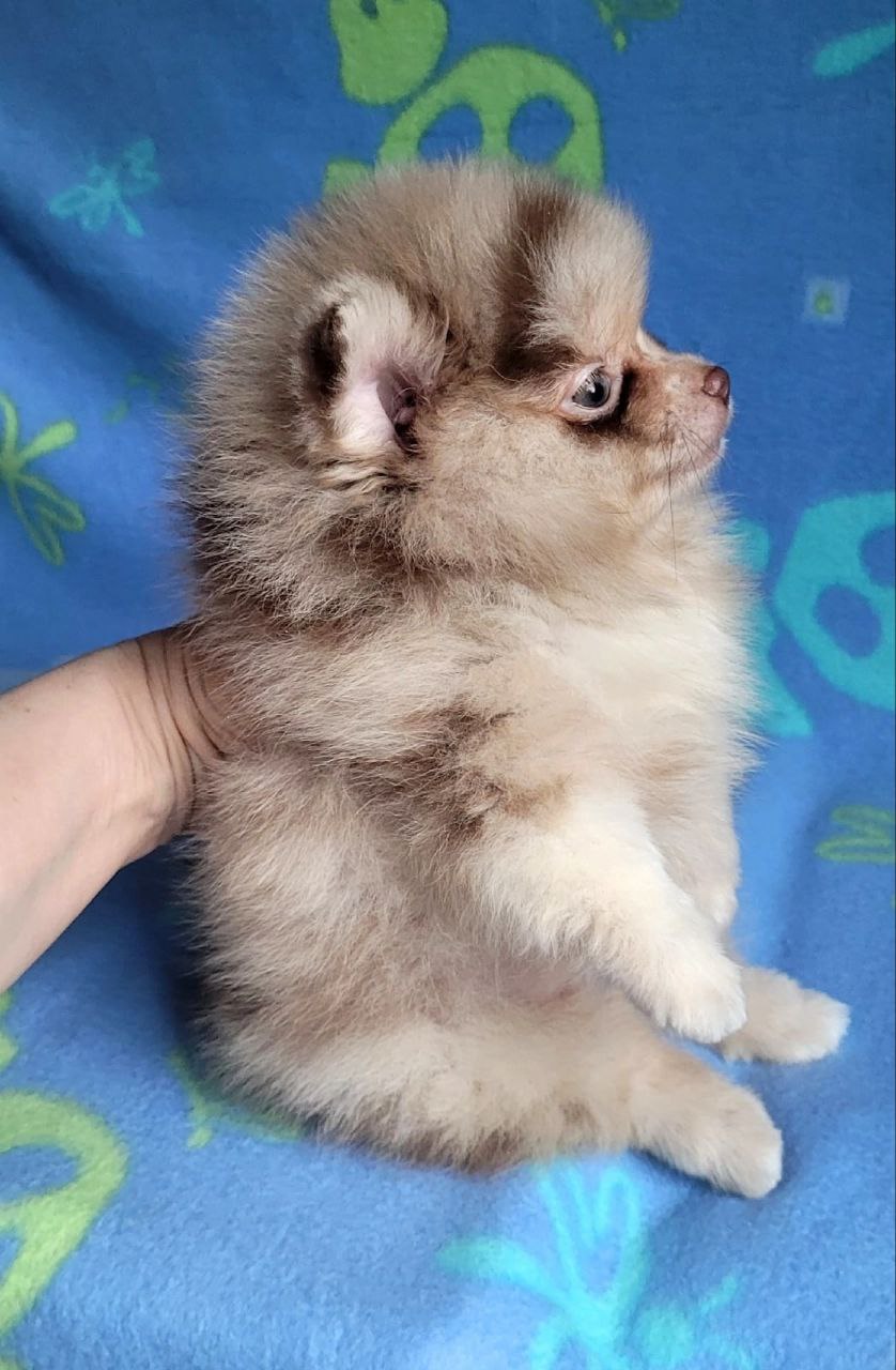 IMG_20251028_215013_344