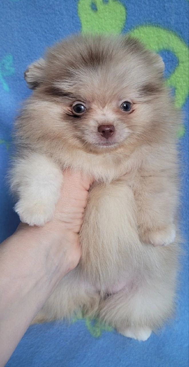 IMG_20251028_215013_894