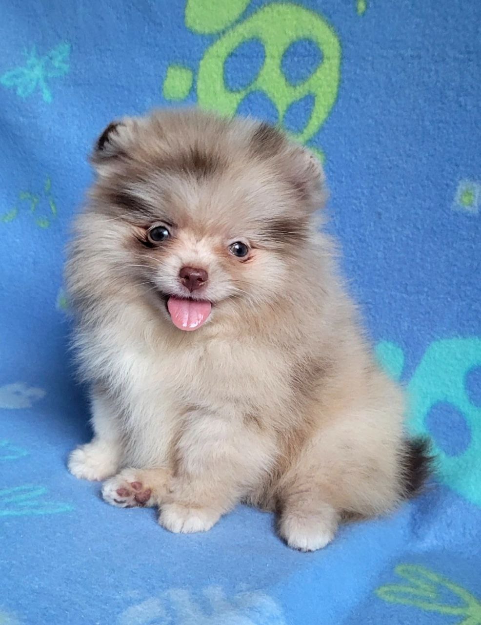 IMG_20251028_215013_968