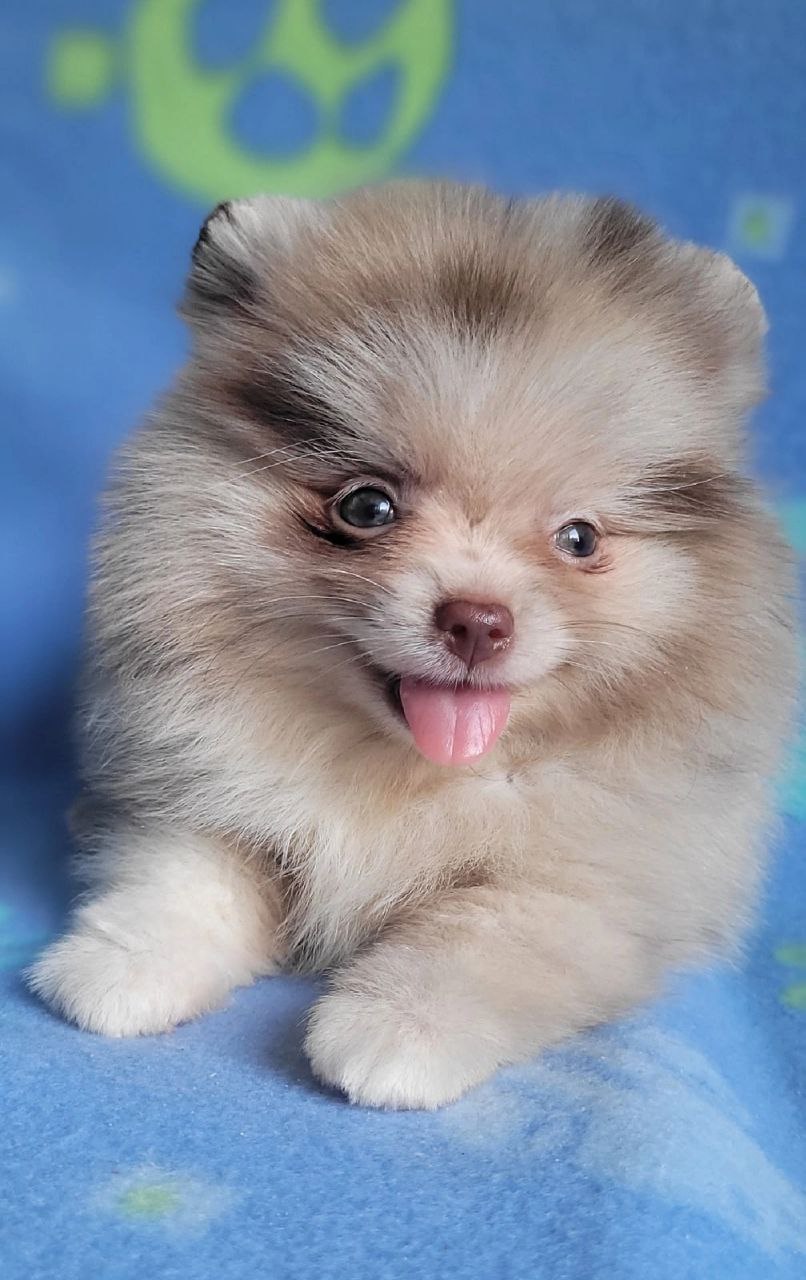 IMG_20251028_215014_122