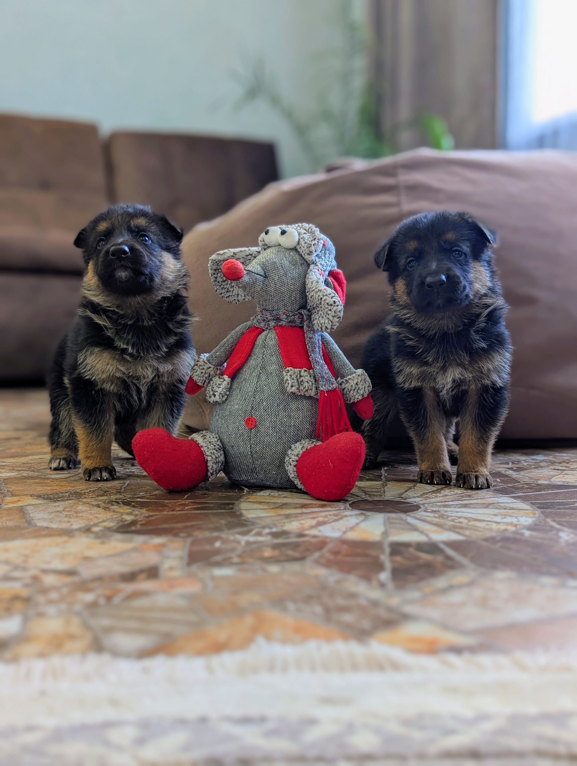 PXL_20251005_060212984.PORTRAIT2