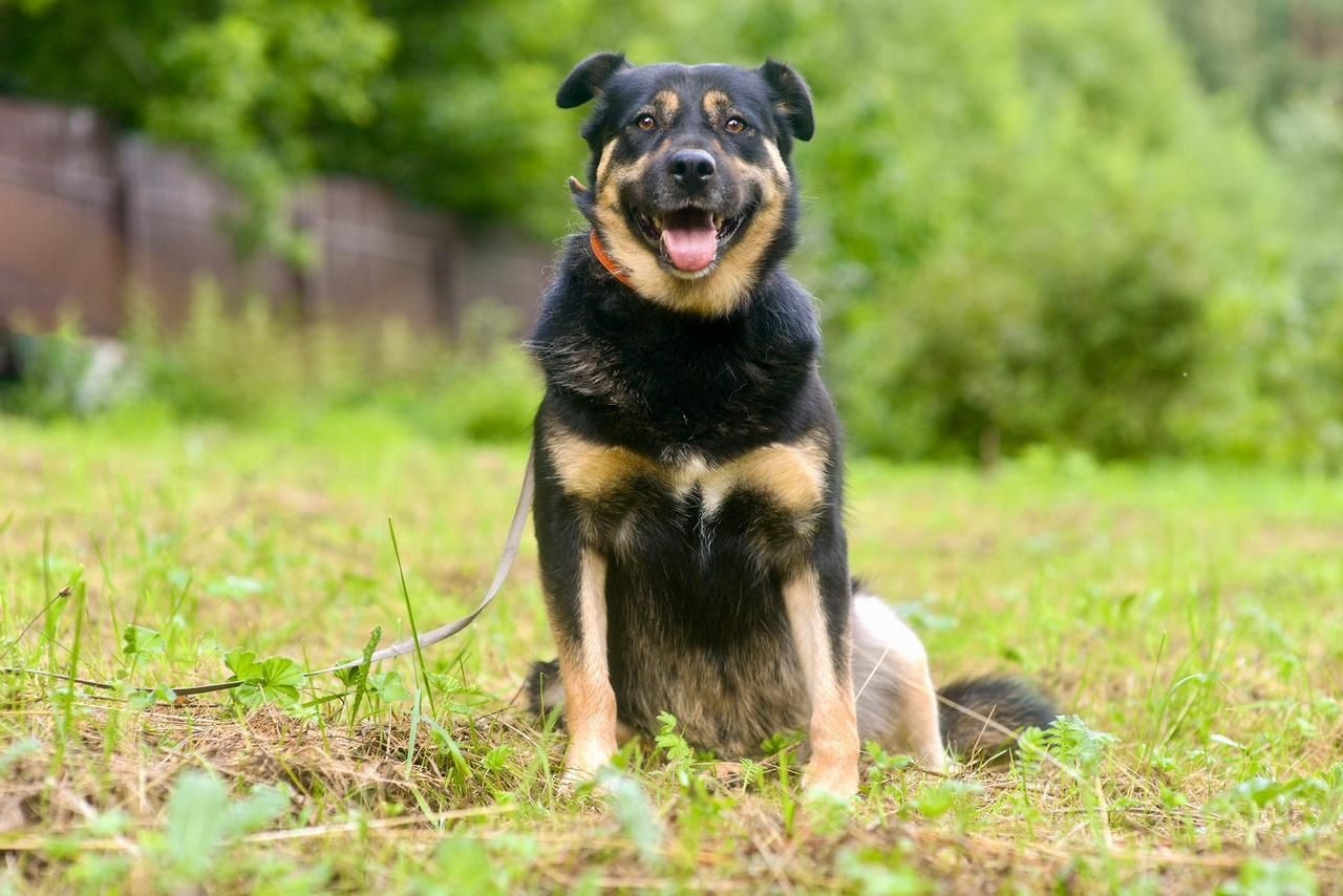 WhatsApp-Image-2025-09-20-at-13.36.49-1