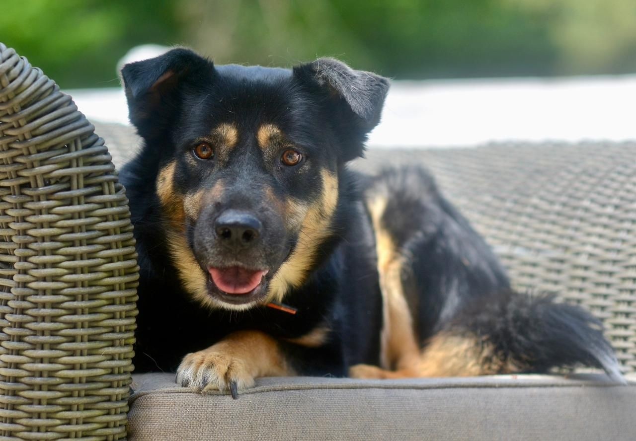 WhatsApp-Image-2025-09-20-at-13.36.50