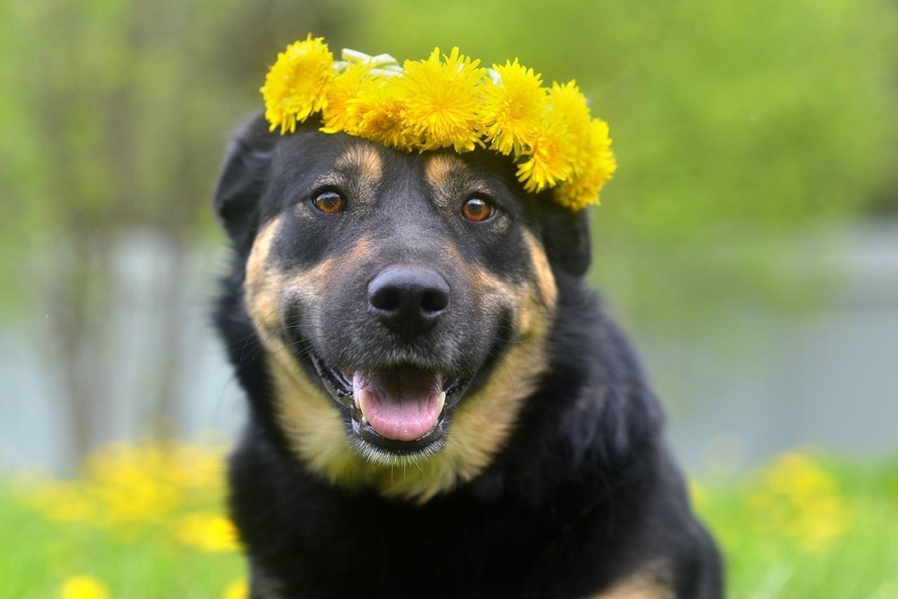 WhatsApp-Image-2025-09-20-at-13.36.51