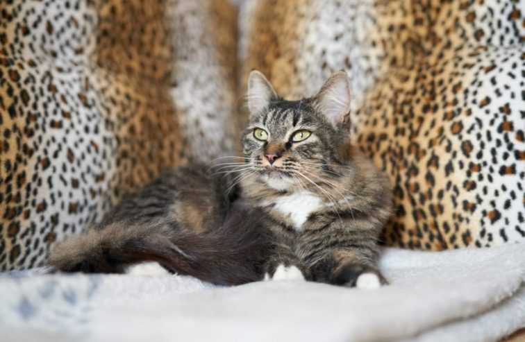 WhatsApp-Image-2025-10-28-at-21.04.55