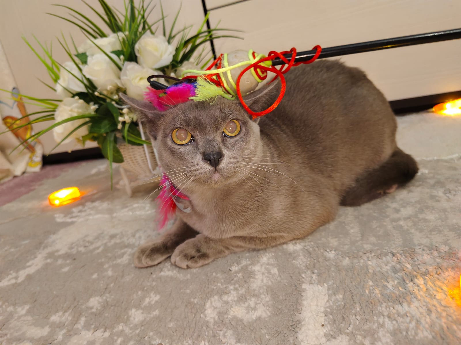 f3467fed-32b2-40f6-9e22-0f4e206dd3a0