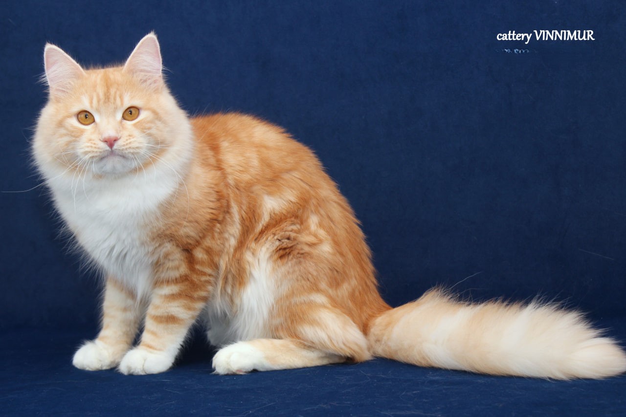 photo_2025-04-16_15-19-38-1