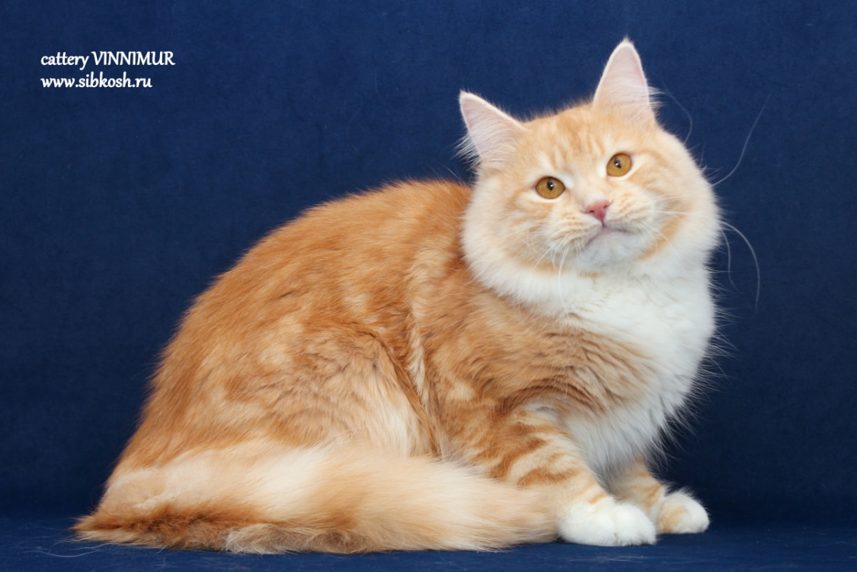 photo_2025-04-16_15-19-39-1-1