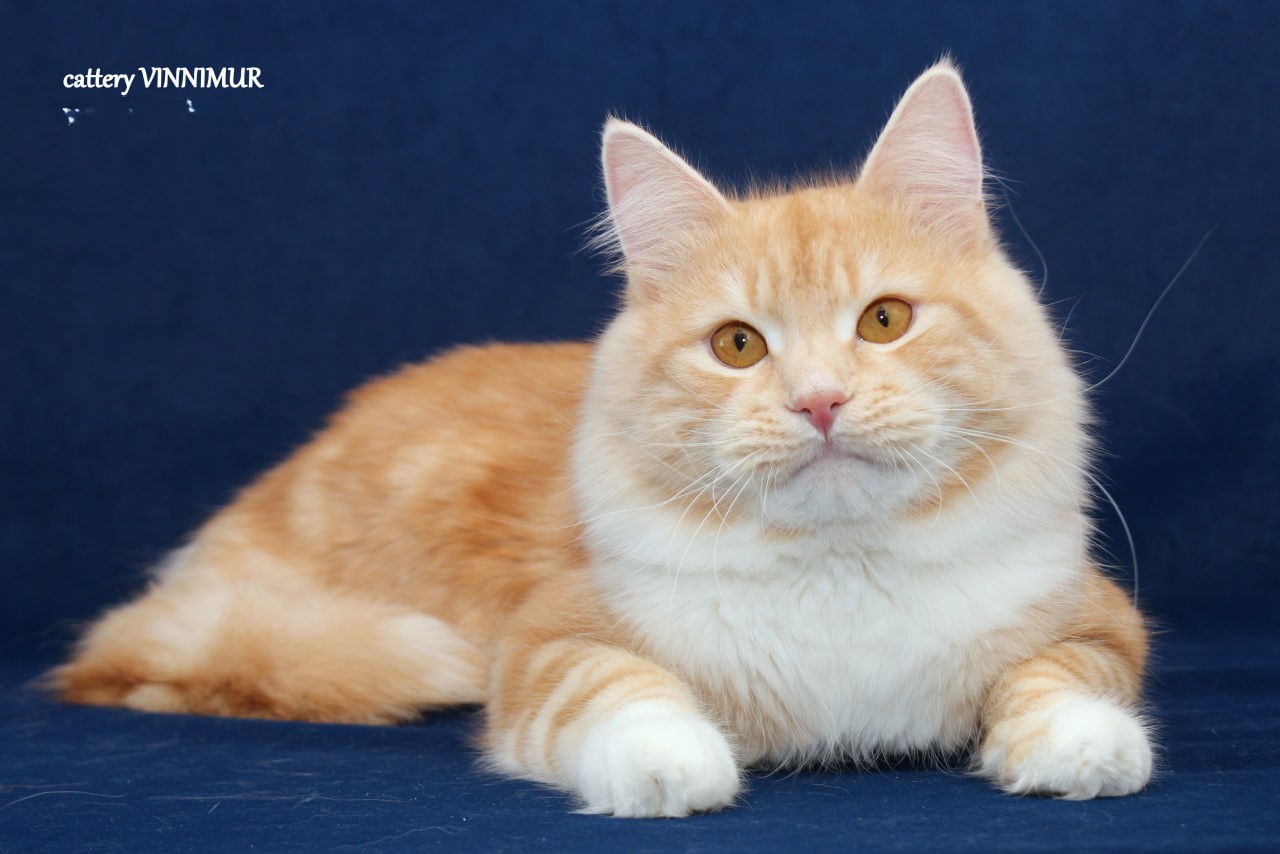 photo_2025-04-16_15-19-41-1