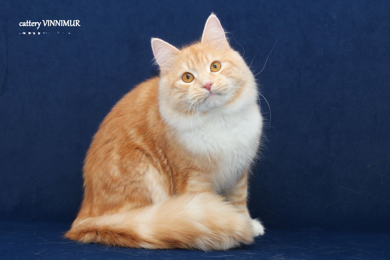 photo_2025-04-16_15-19-44-1