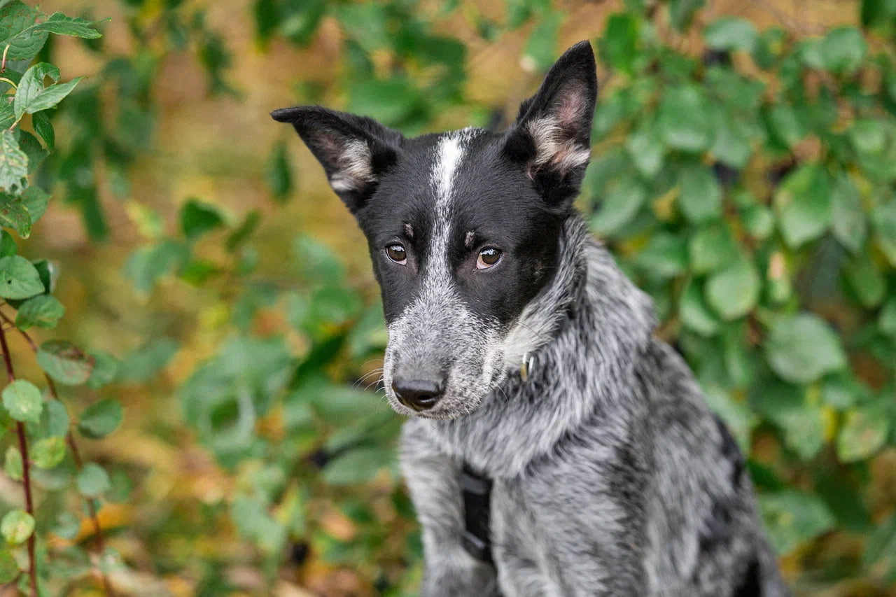 photo_2025-10-21_16-32-56-3