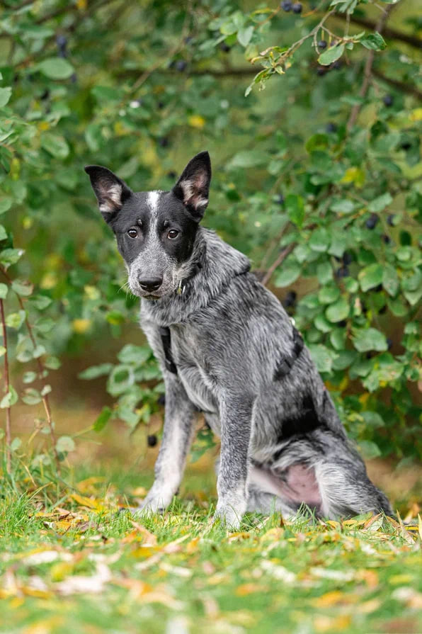 photo_2025-10-21_16-32-56