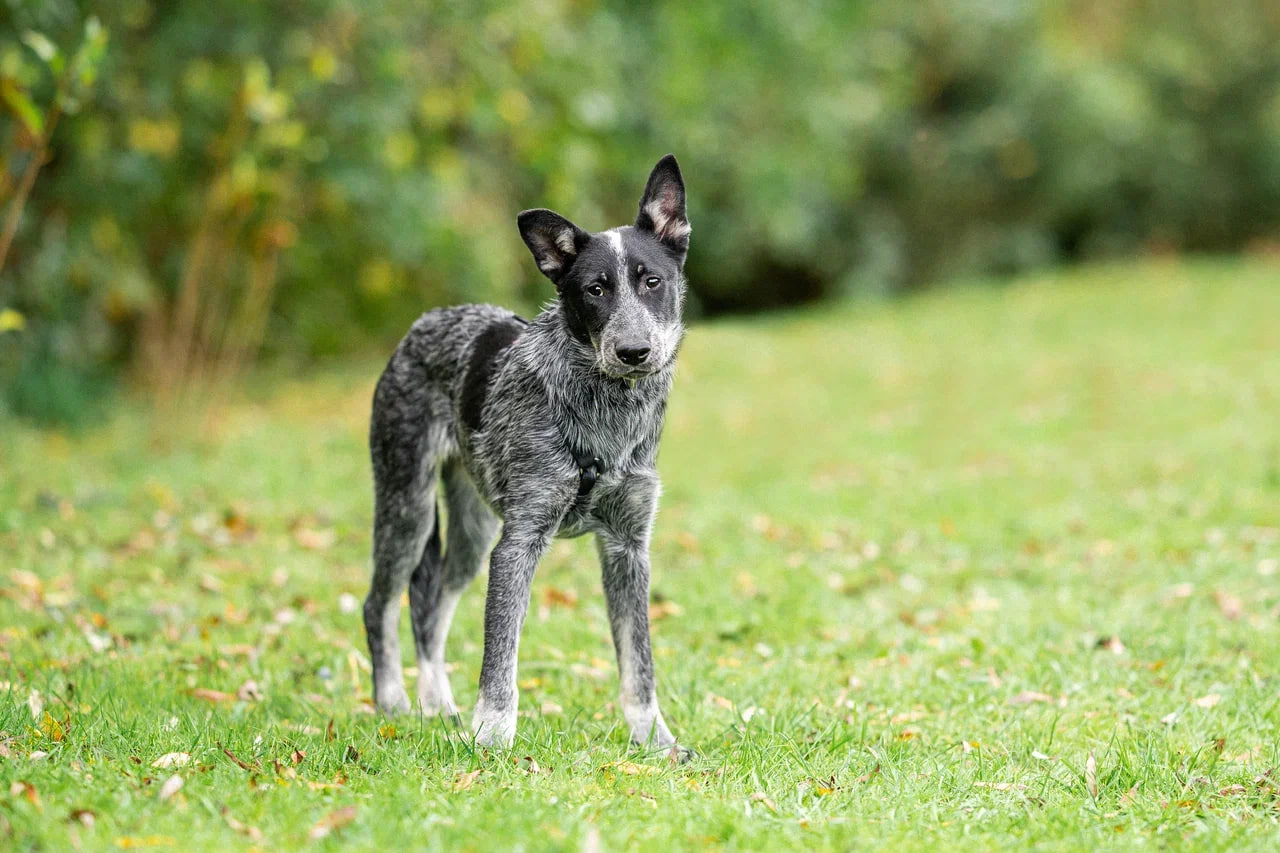 photo_2025-10-21_16-32-57