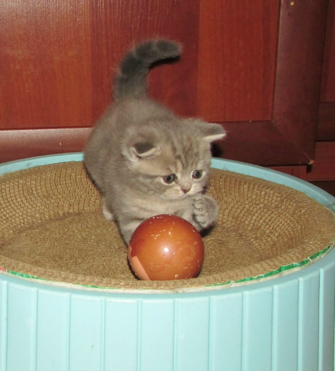 3W38zOVxvqRPQaktvhPEnktoxIlknRrpj7qZabXaAX6o3Lj5Ydr12GM-CKQuCPs5HVIEp1imMeyaYvzSEXNM_TXj-1