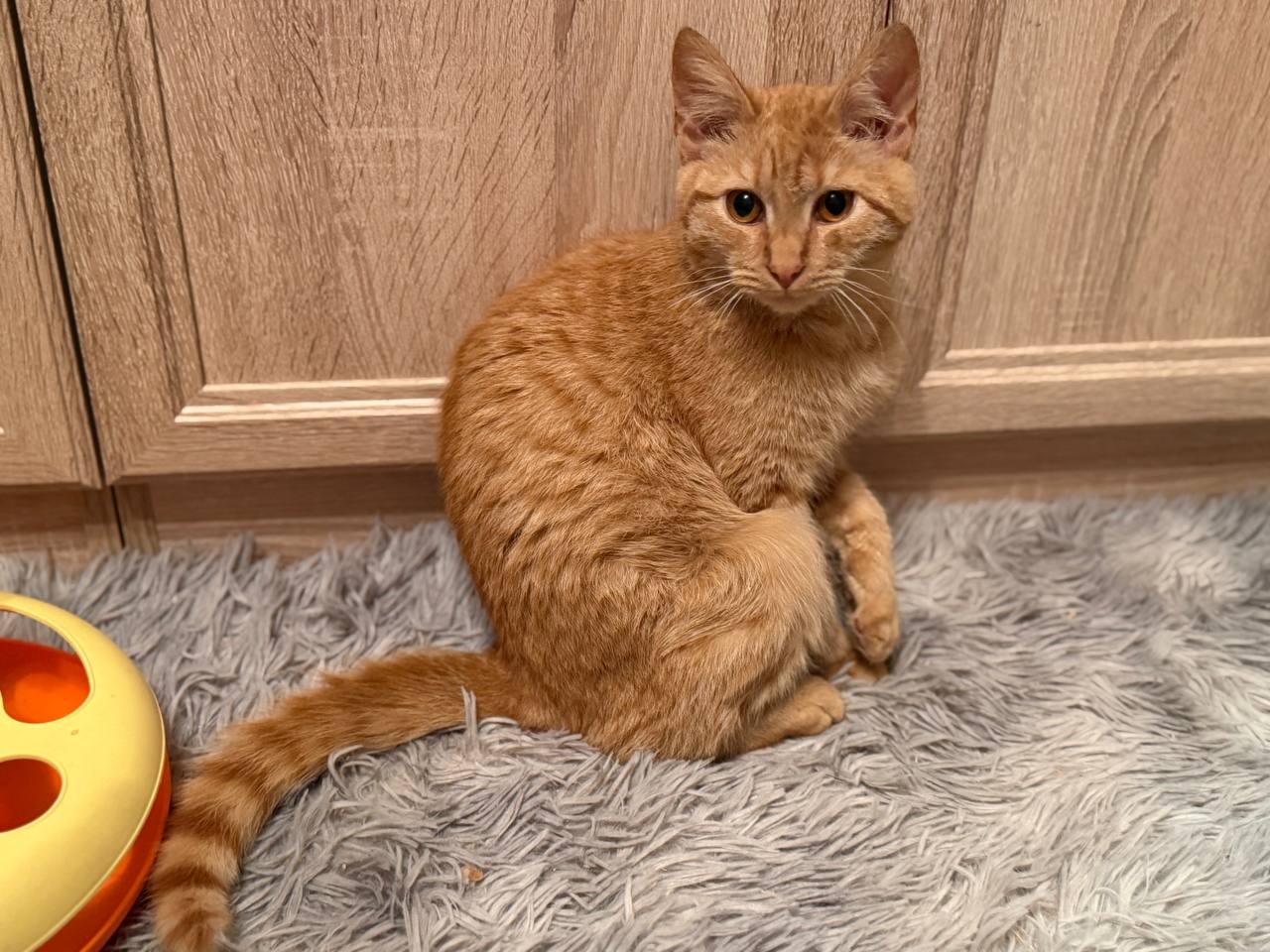 4atnaYs8uz8cbjrIF6f-qQVlKdgLMJga4quTvlMBfWYgwVnj-kcb_eKxc5jQdjUxbrU89ZEjg_DKnfrCwSo3prp0