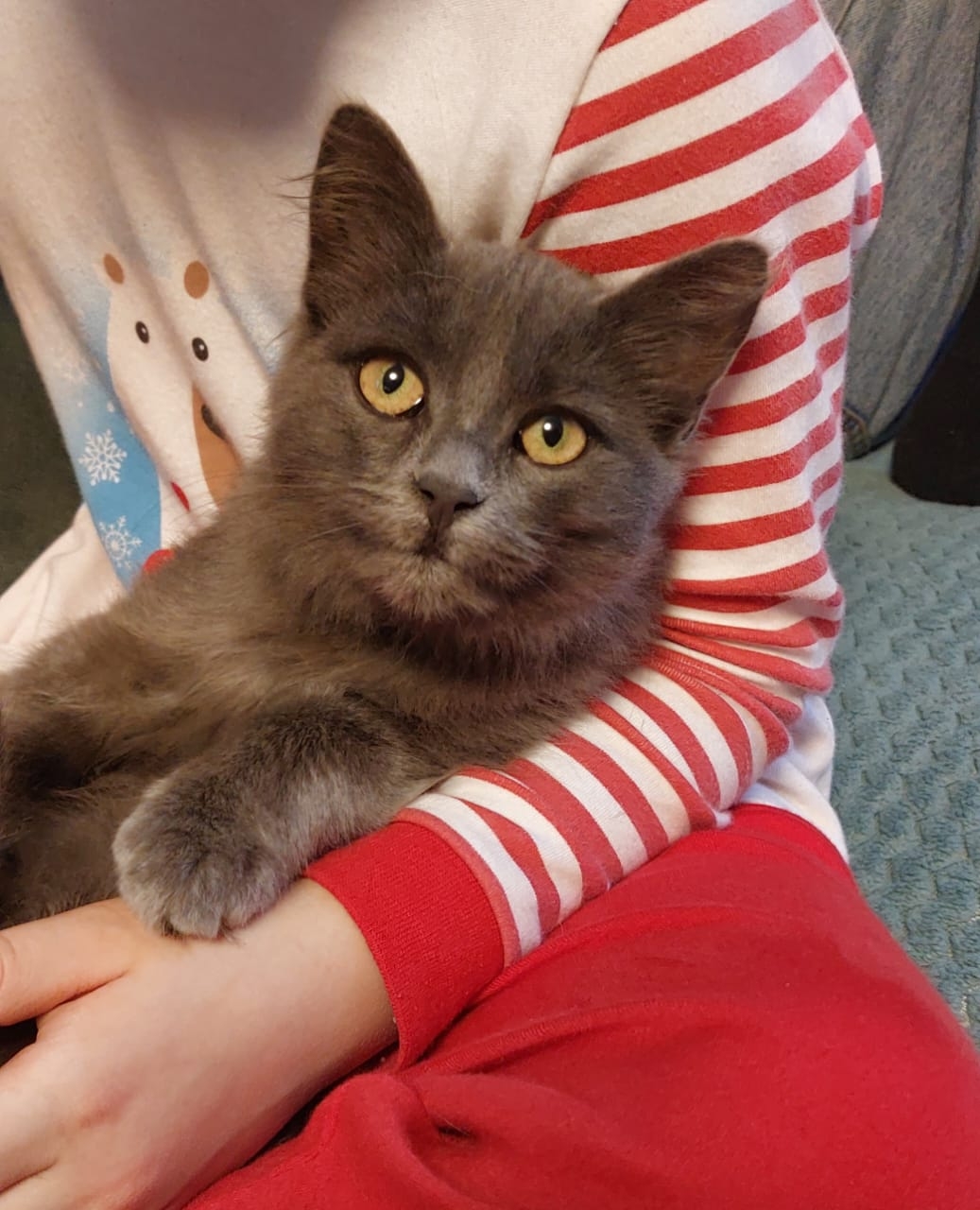 8WSm6CeEpjzi59PQtPTVWuyyczzHsxUdONoC2N1VffwLqON2y50xi_q_DS-6in1Ur09DTGNfdKkR8ihPT2bBsQq0