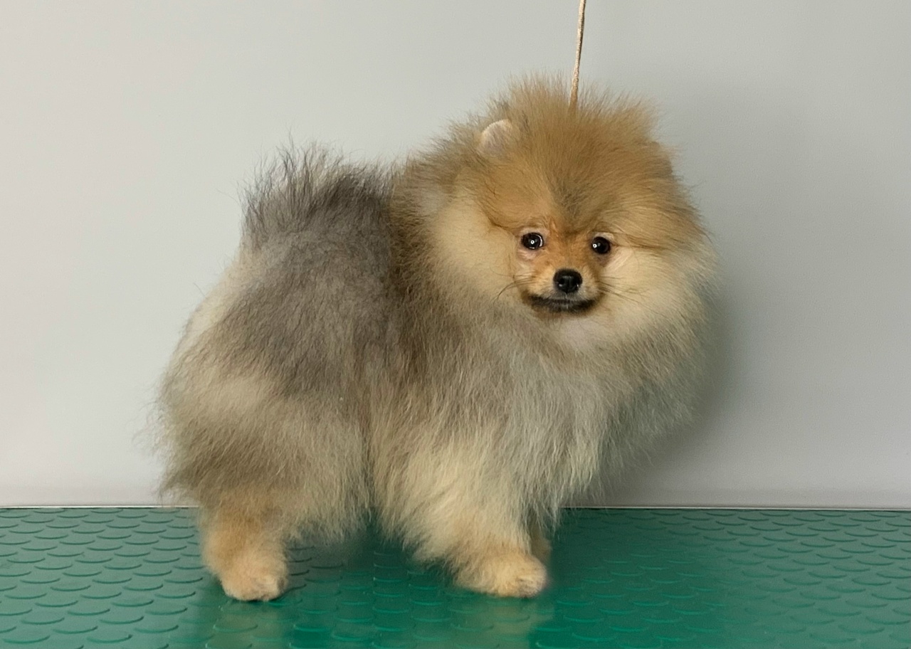 9bAr-yCINtr48t_a2fsIsXhYhV3Q7R7s1bJP2WpaoMIHDqYiIlr-LY28qak7Zxz4ZCvomgmyCdyveyFD64EyKOV_