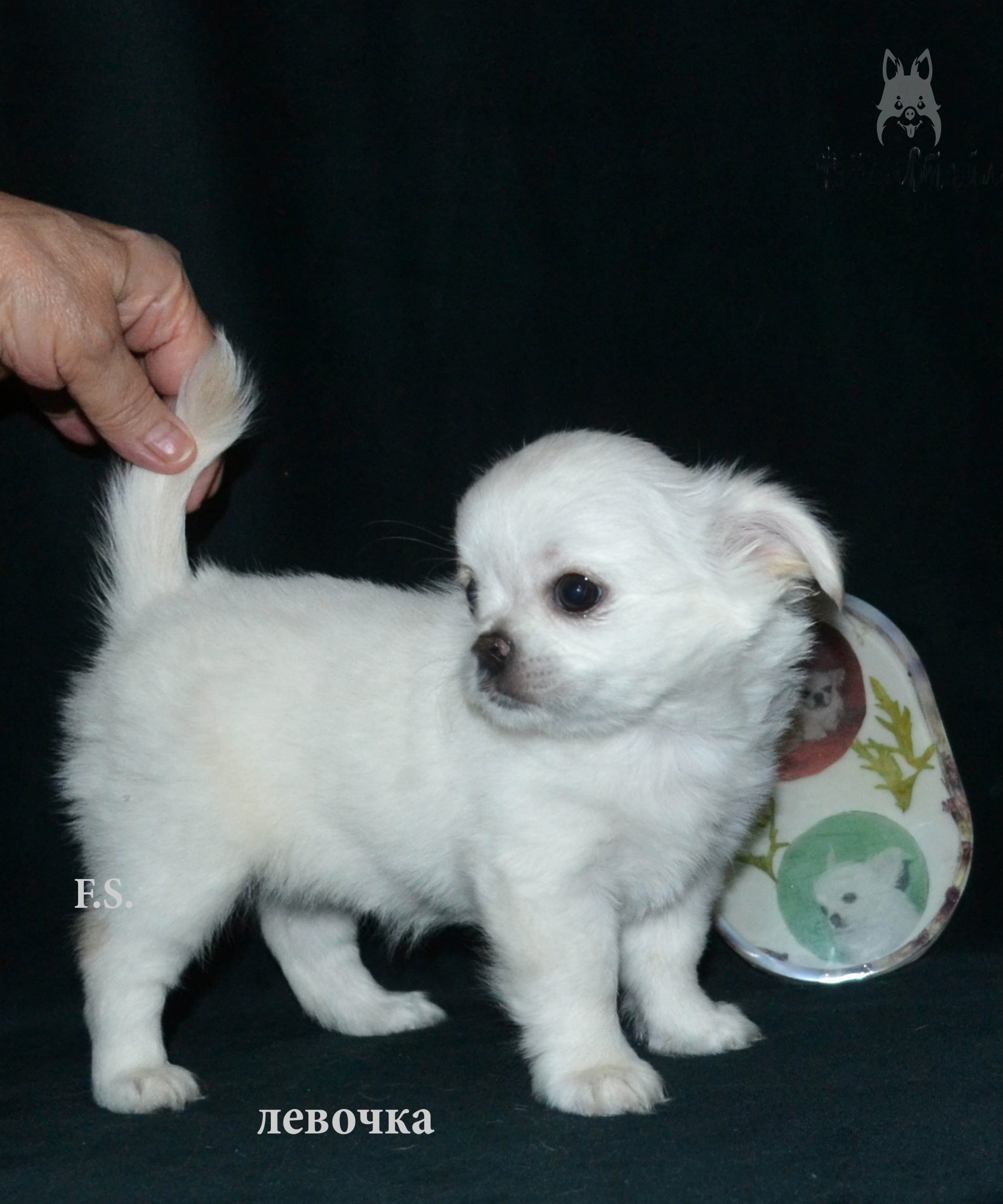 DSC_0814.JPGp9_.psd9_