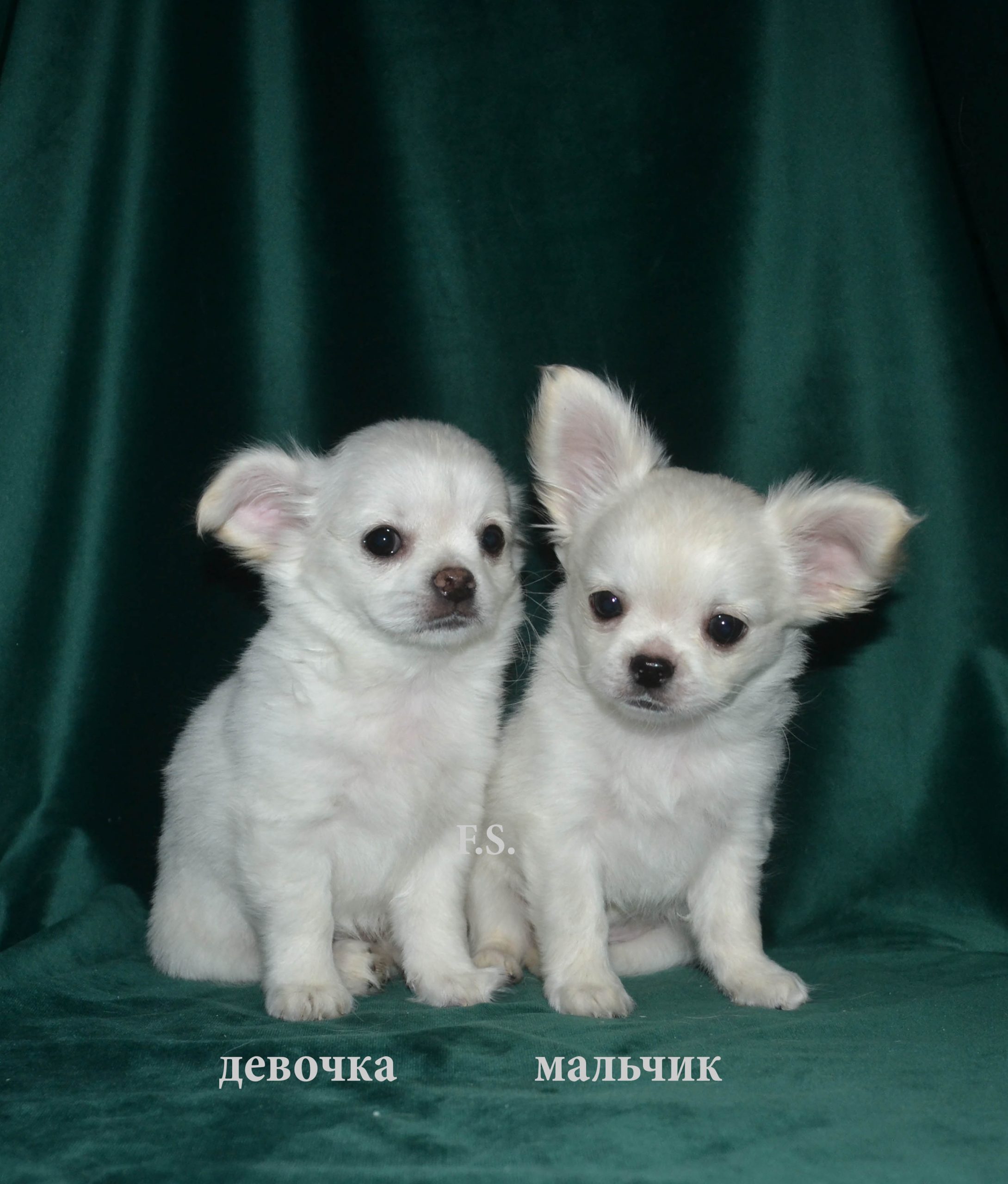 DSC_1030.JPGp_.psd9_