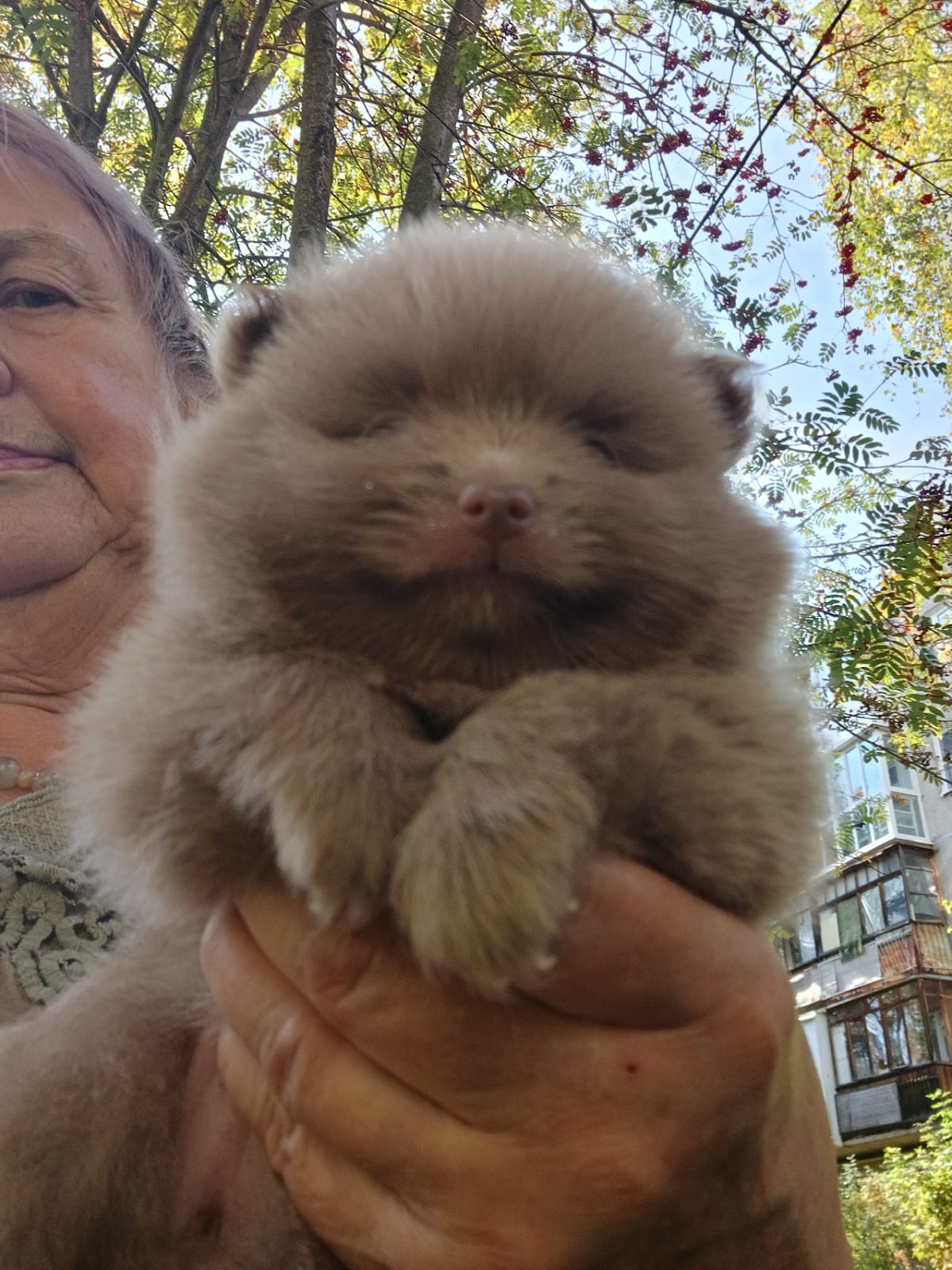 IMG-20250923-WA0008-1-1