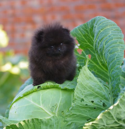 IMG_20250917_150721_246