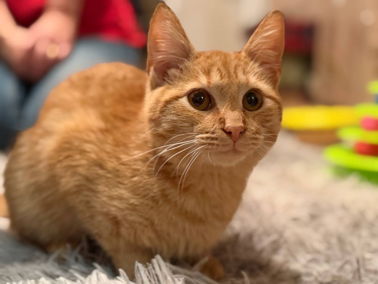 IOD03Xi1iEYlbZKM3n3nIycgTwrQHMH4zdTL9_GRa-oDLZosUwJoVXnxBTykqJ6hDLRxWNNpiRtMQiOuE5MK8i_i