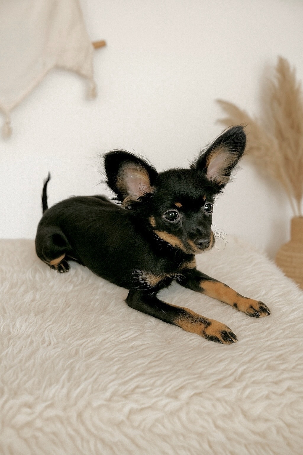 KQVfKB5HY4hpE1-nLuiRYcpTTe_LlBGyLgKrXdxo42zks0IbTb69OWcZMlIHfU37Kn58Fb9RArfFZZIbIfWQNuCf