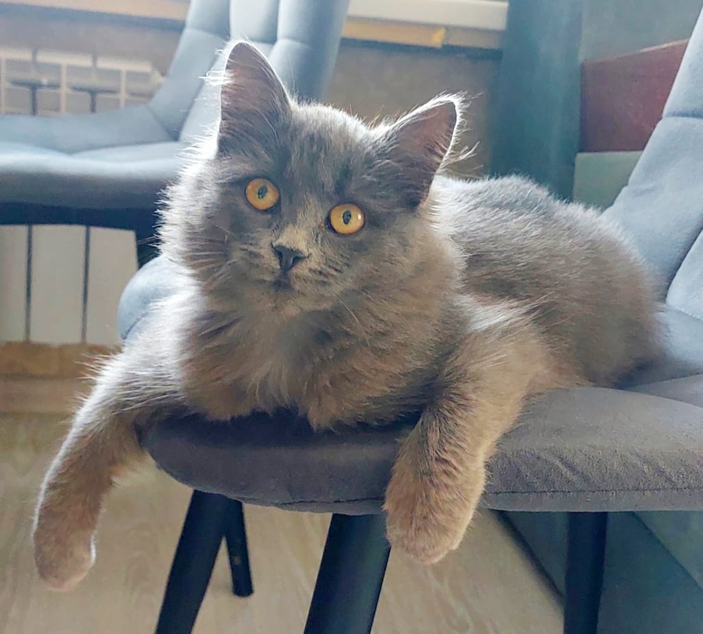 M-9B4LItQnVuMAjF7DdiR7LxLxhaVZmCGr2XGTWpQUT-j37xp7x5IEXMRwCUgNwuKQWL9IOb0lKlAg6swQAUYjXI