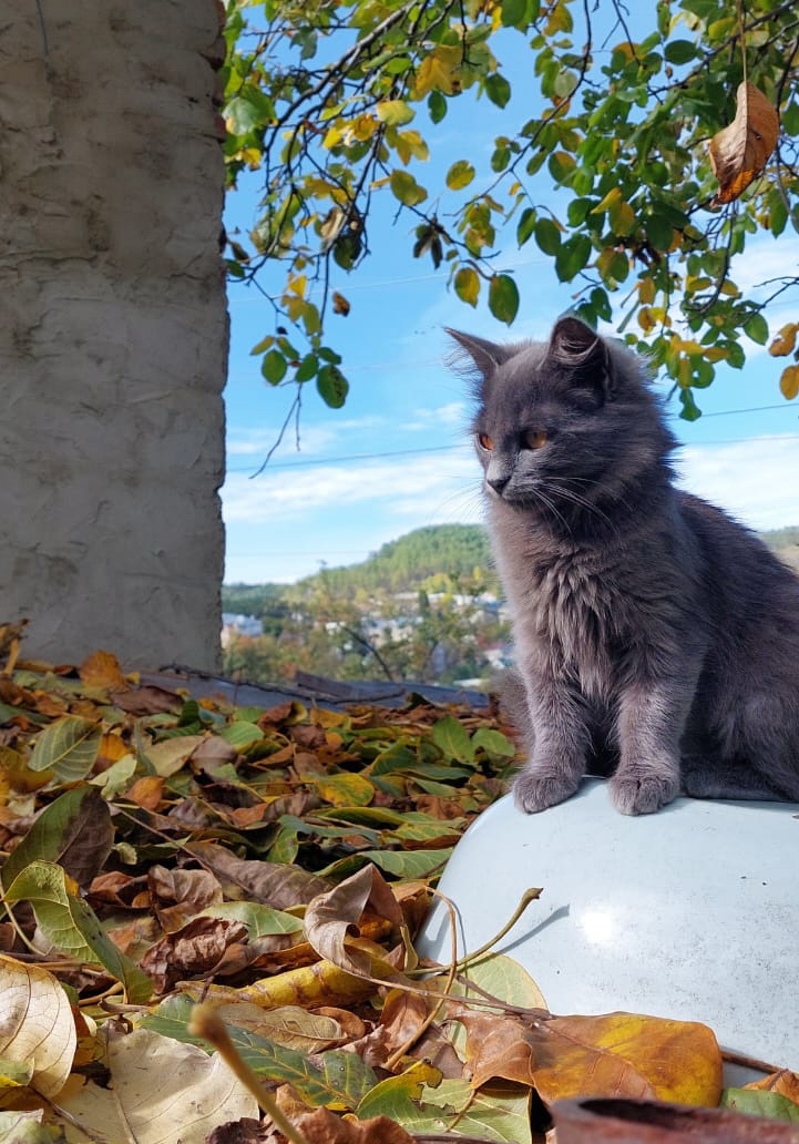 VJPyEFPYDJpf5A_OdOtzCHno8eOQhinCavO-7Ucv49twsTwZUzpC7N4DnaKxdwyXKTtl1G5SoN6T_ST6jKXbUhJ8