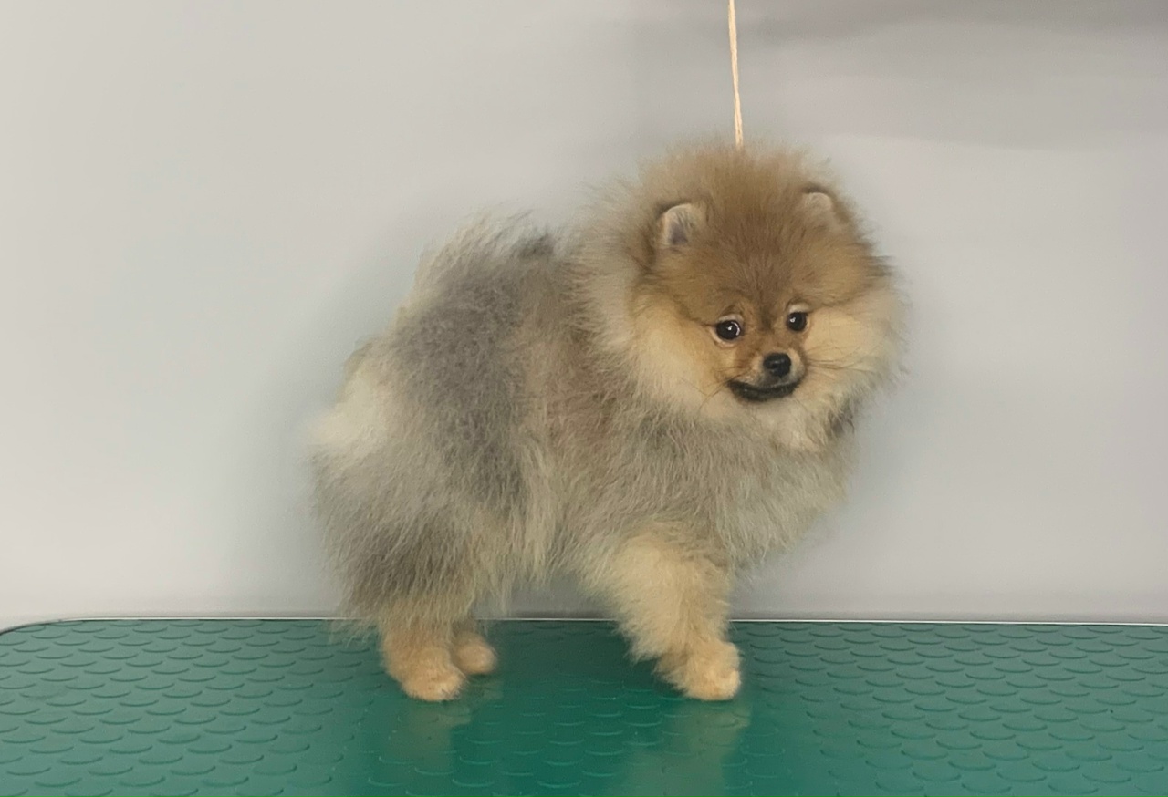 e83P-CfsCfmzV6OhHklI8oP0b48Xnlvaxwh1As0c6pp0KOwPNOtTnI3l9nXQ7cQckwkLbxZksOj00u2XS31rnf-7